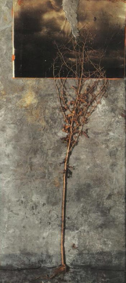 Yggdrasil by Anselm Kiefer