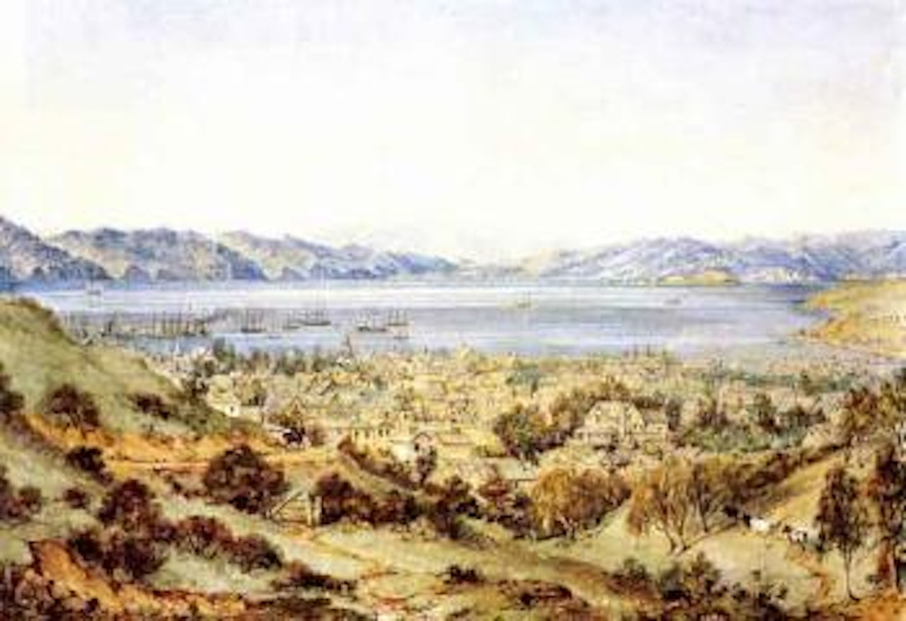 Wellington Harbour by Charles Decimus Barraud