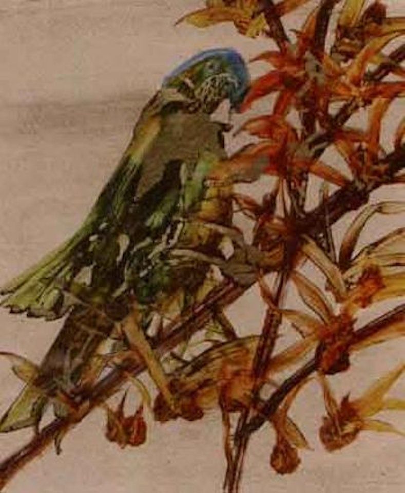 Parrot on a branch by Sidney Nolan