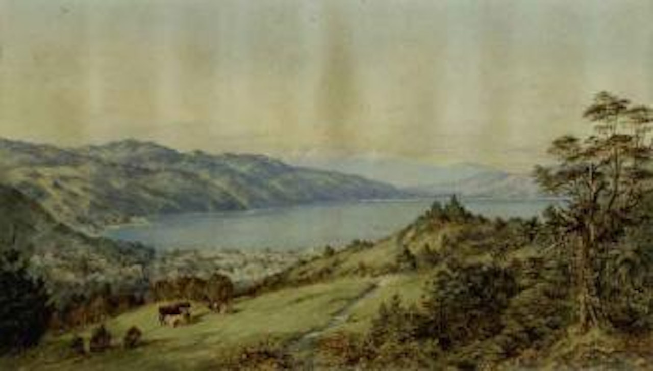 North end of Wellington Harbour by Charles Decimus Barraud