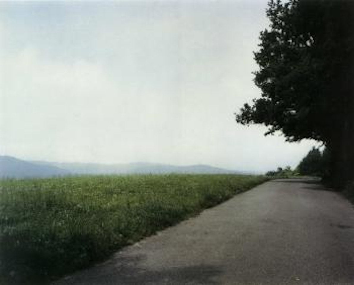 Waldstrasse au dem Lindberg - Landscape No.3 - Winterhur by Thomas Struth