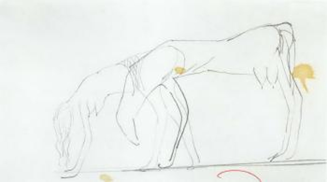 Tierfrau und Tier by Joseph Beuys