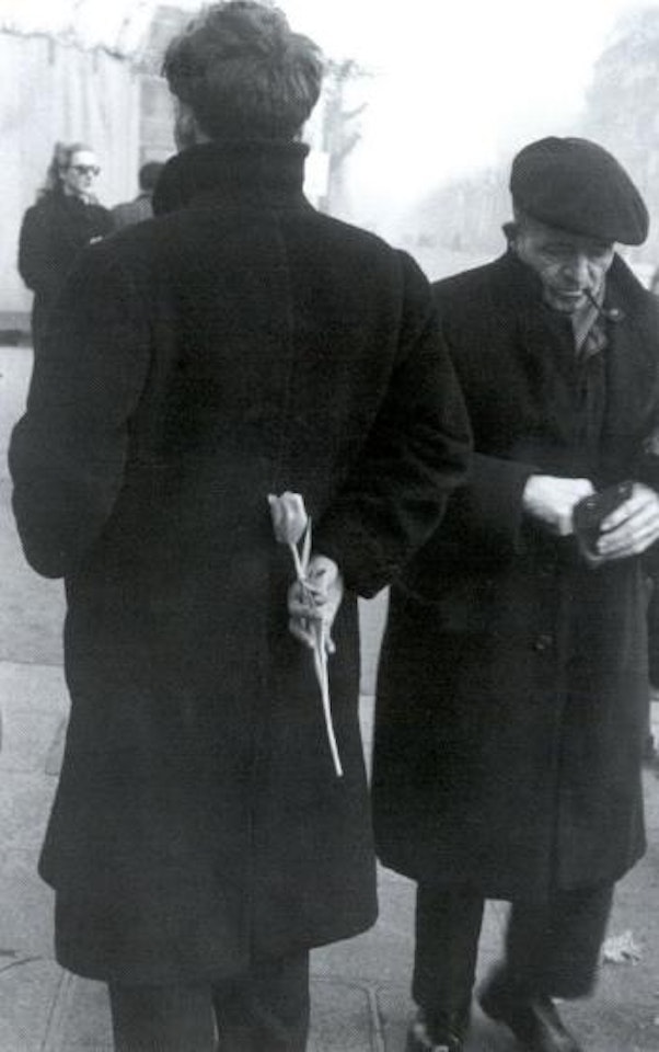 Tulip/Paris by Robert Frank