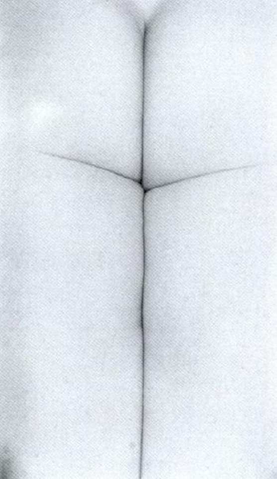 Eleanor, Chicago by Harry Callahan