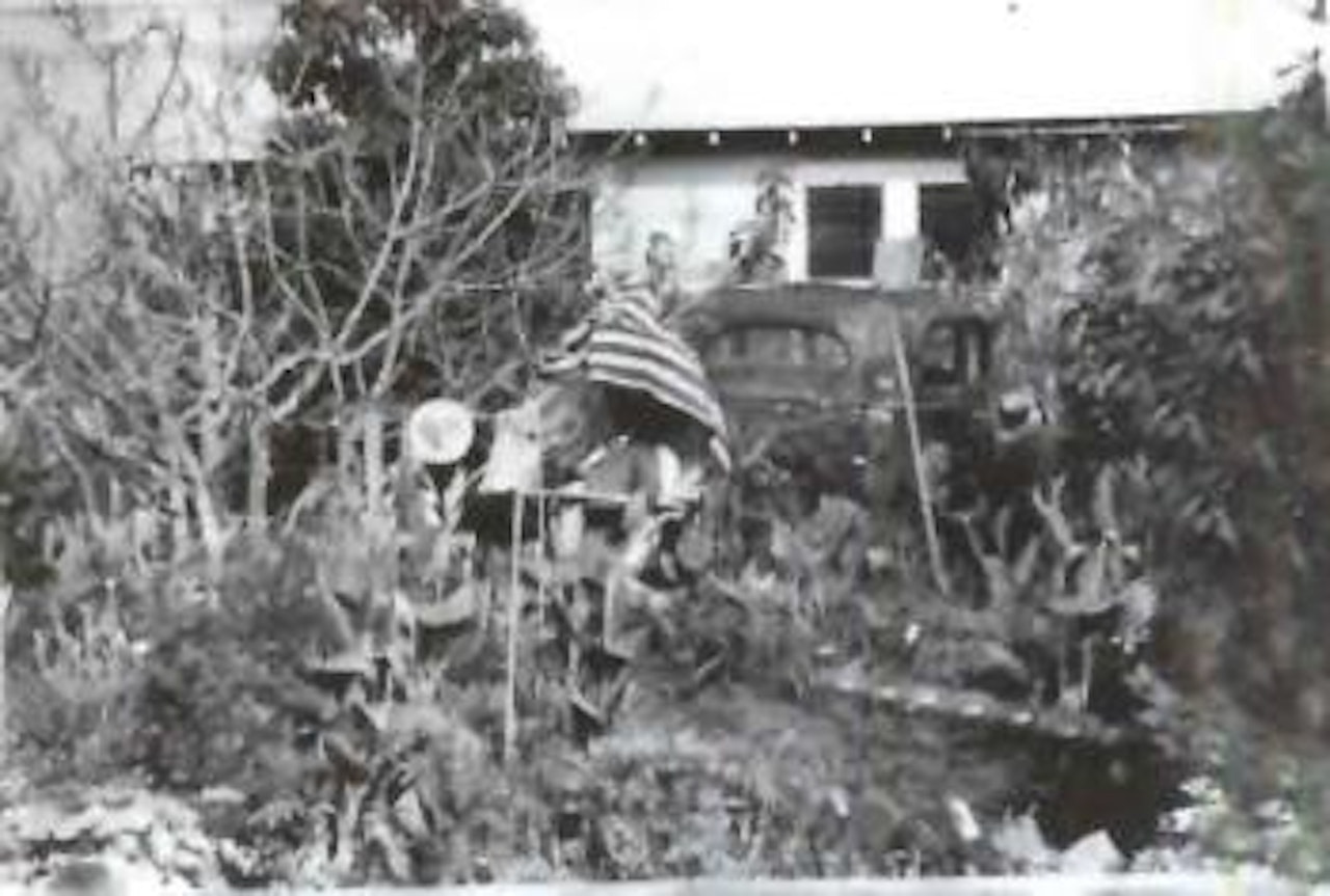 Backyard, Venice West, California by Robert Frank