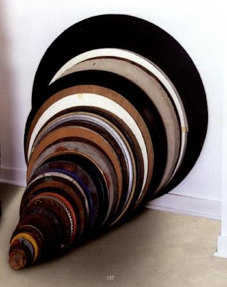 Adontoid pegs by Tony Cragg