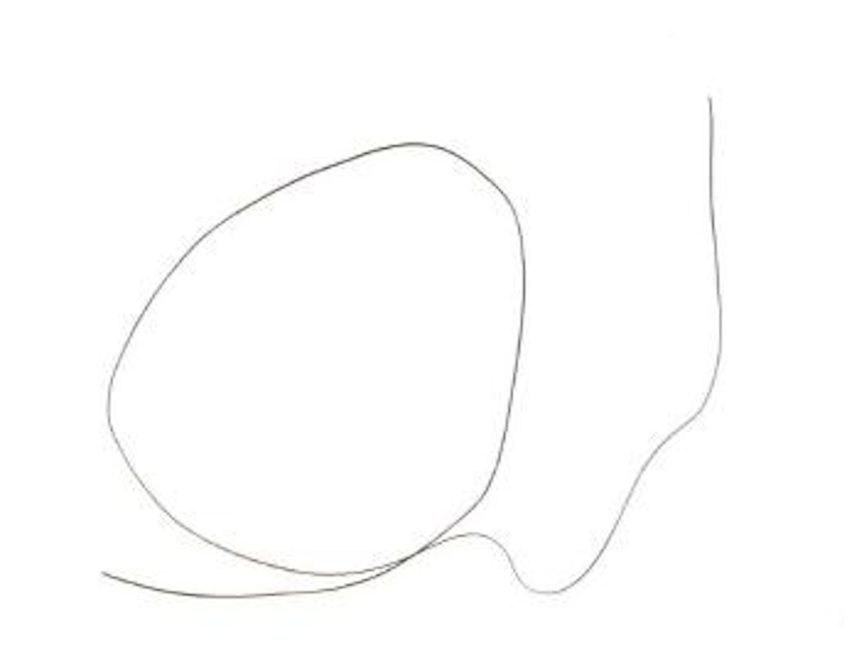 Wire by Ellsworth Kelly