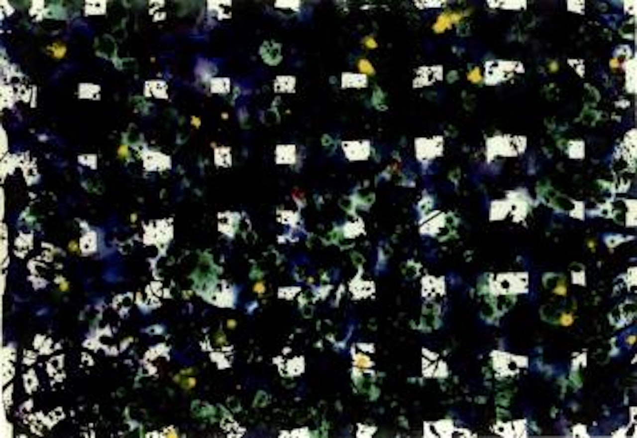 Untitled by Sam Francis