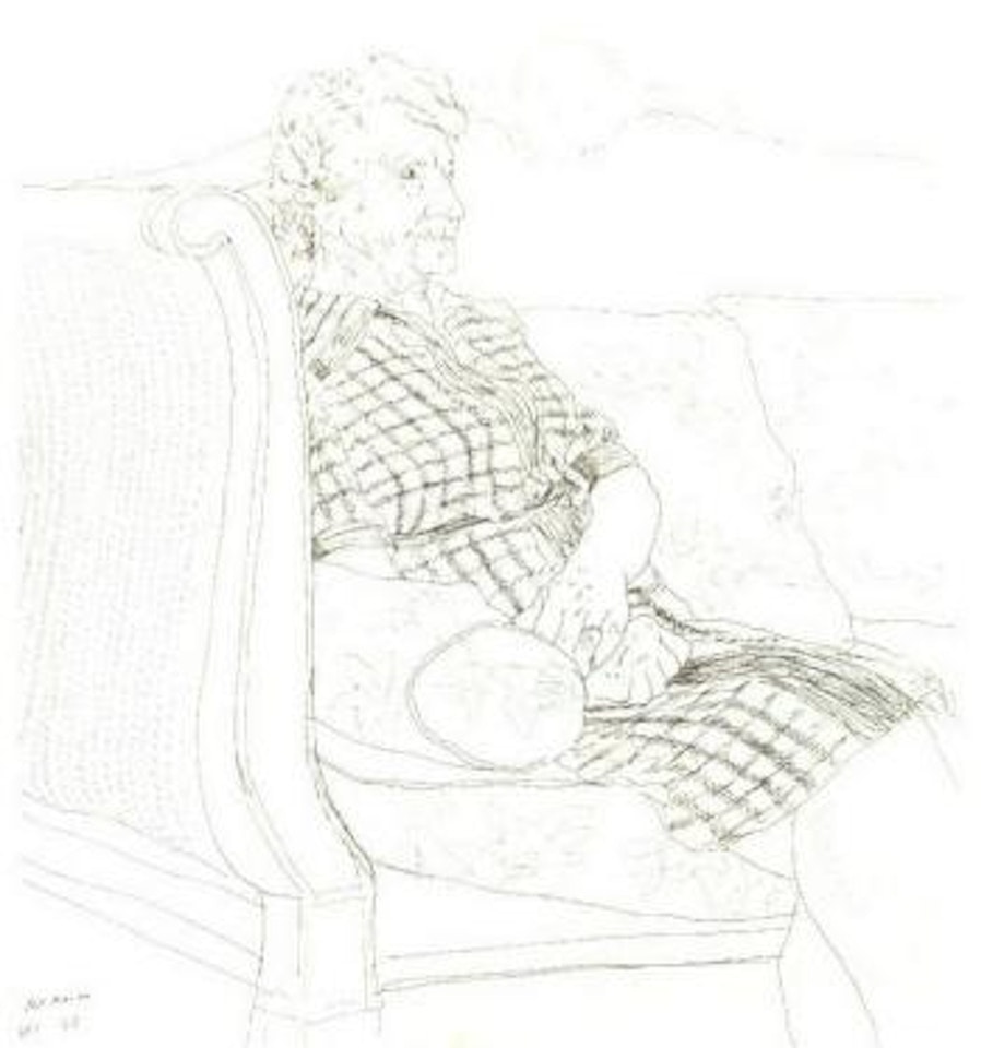 Mother in check dress, Wales by David Hockney