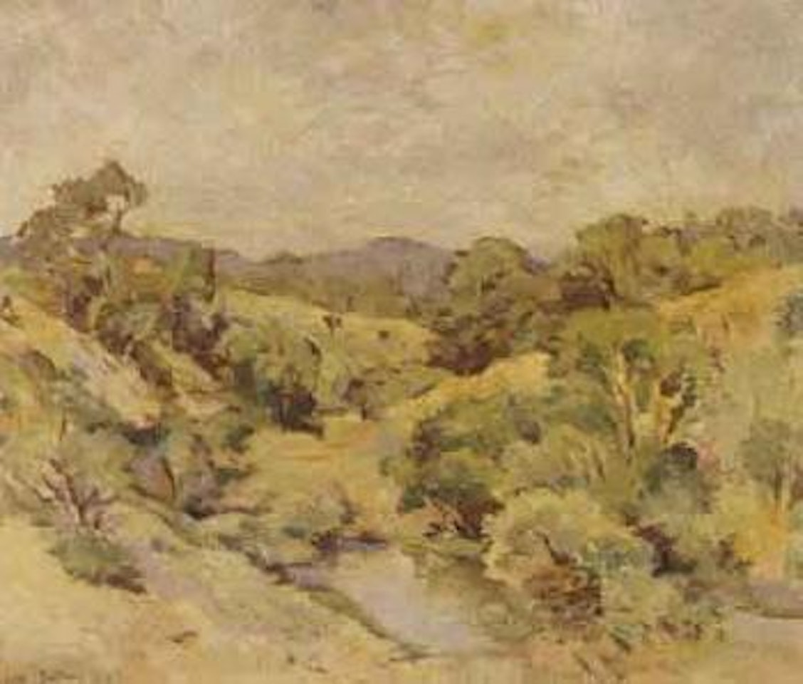 Extensive landscape with a river by Walter Battiss