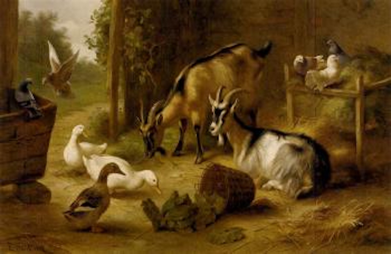 Goats, ducks and pigeons in a stable doorway by Edgar Hunt