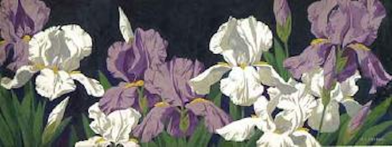 Irises by Alfred Joseph Casson