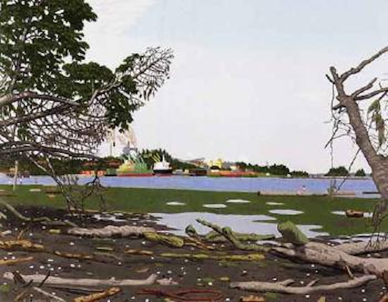 Looking North over Osborne Bay by Edward John Hughes
