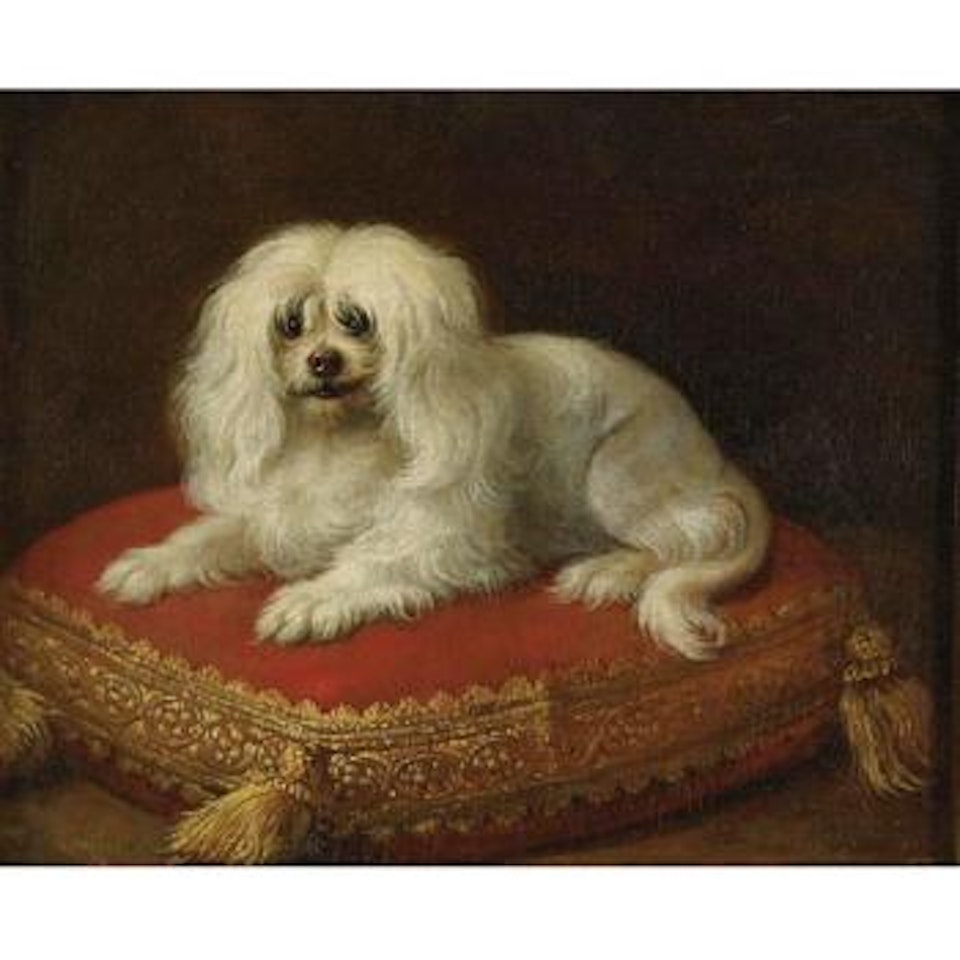 Portrait of a dog seated on a pillow by French School