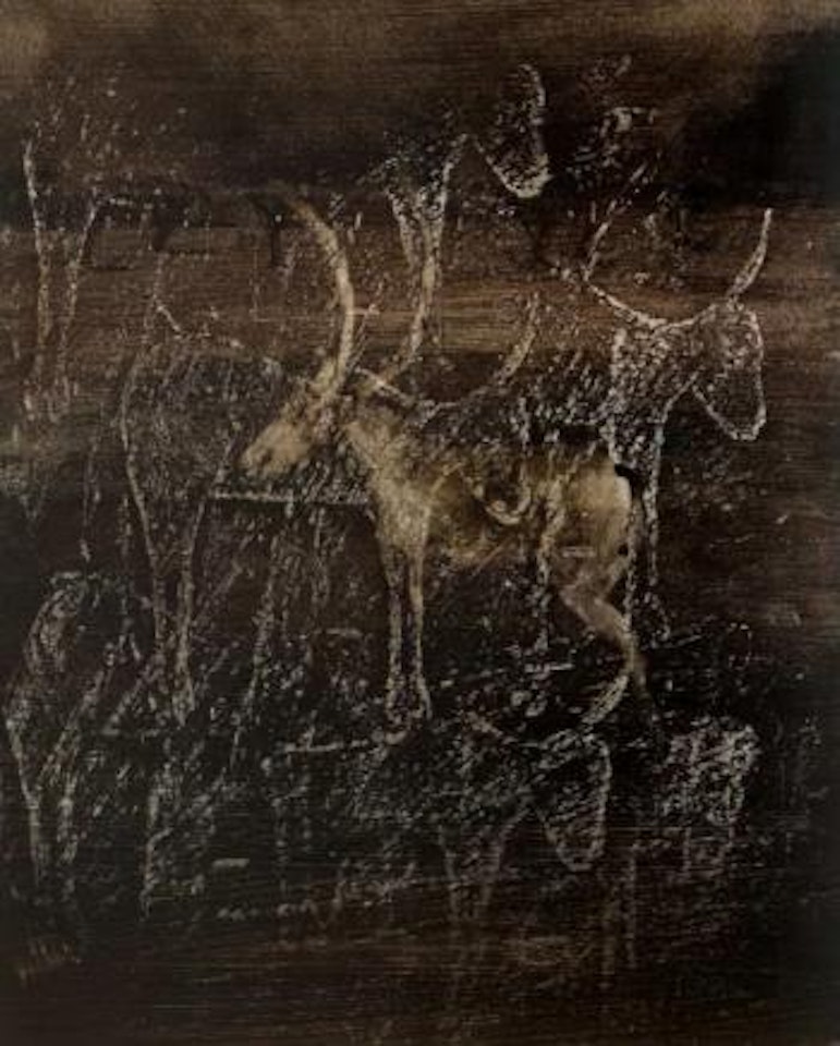 Prehistoric animals by Sidney Nolan