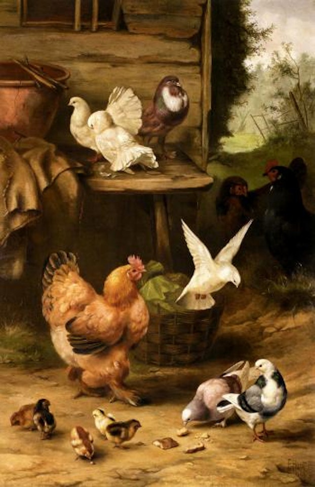 Feathered friends by Edgar Hunt