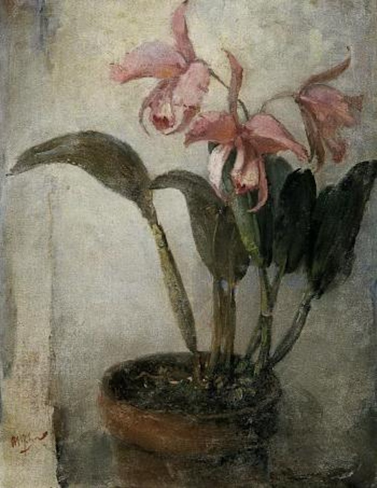 Orchids by Lee Man Fong