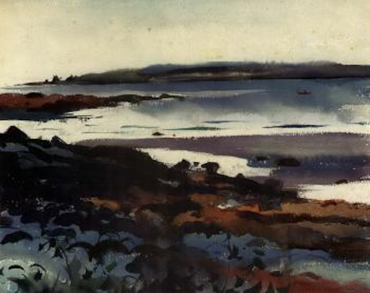 Low tide by Andrew Wyeth