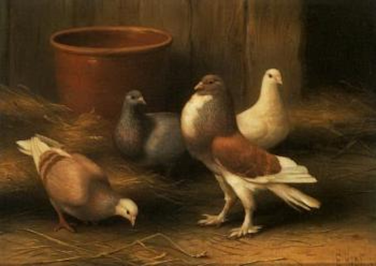 Pigeons by a terracotta pot by Edgar Hunt
