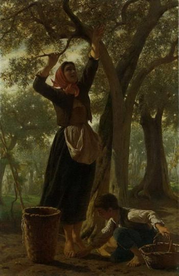 La raccolta delle olive by Luigi Bechi