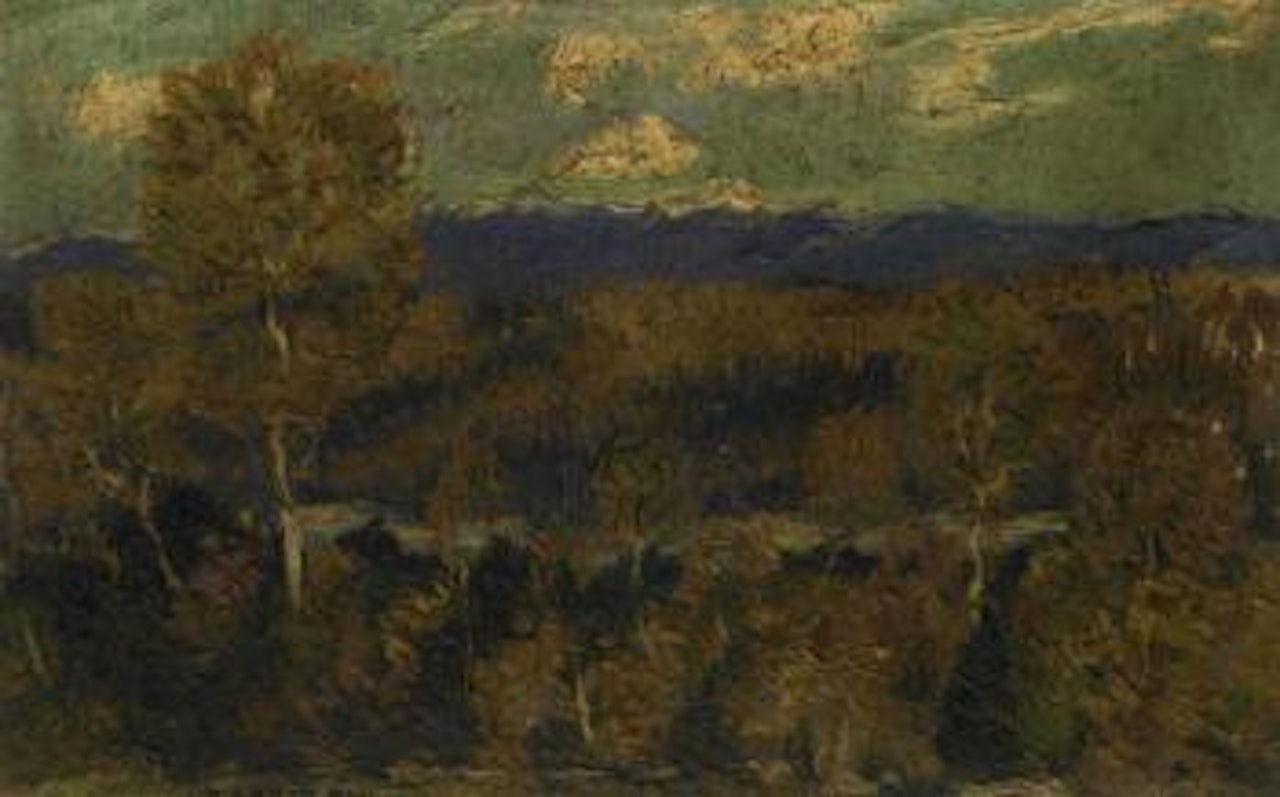 Maine woods by Marsden Hartley