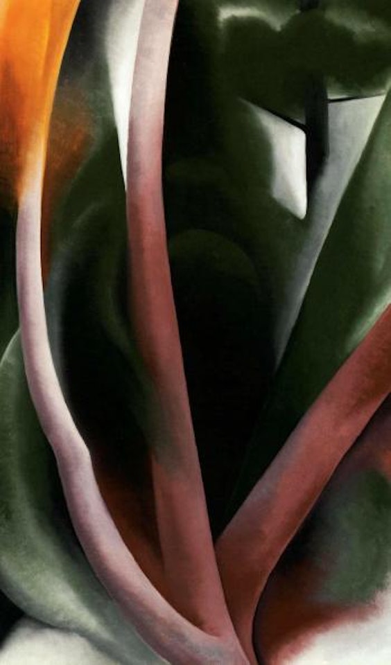 Birch and pine trees, pink by Georgia O'Keeffe