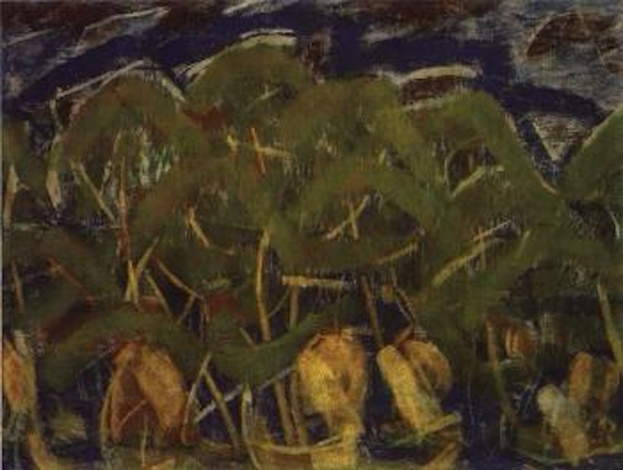 In the Sauerland - young forest by Christian Rohlfs