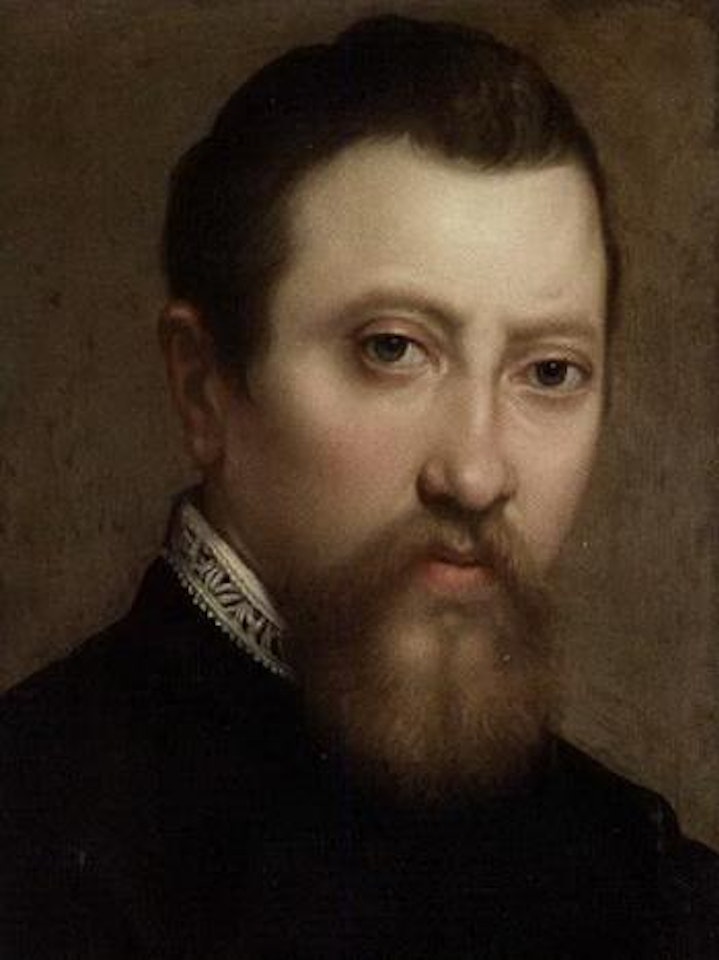 Portrait of a bearded gentleman by Annibale Carracci