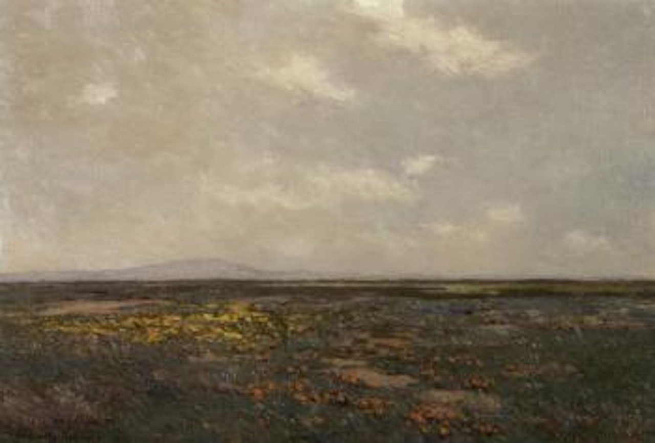 Wildflowers in the marshes by Granville Redmond