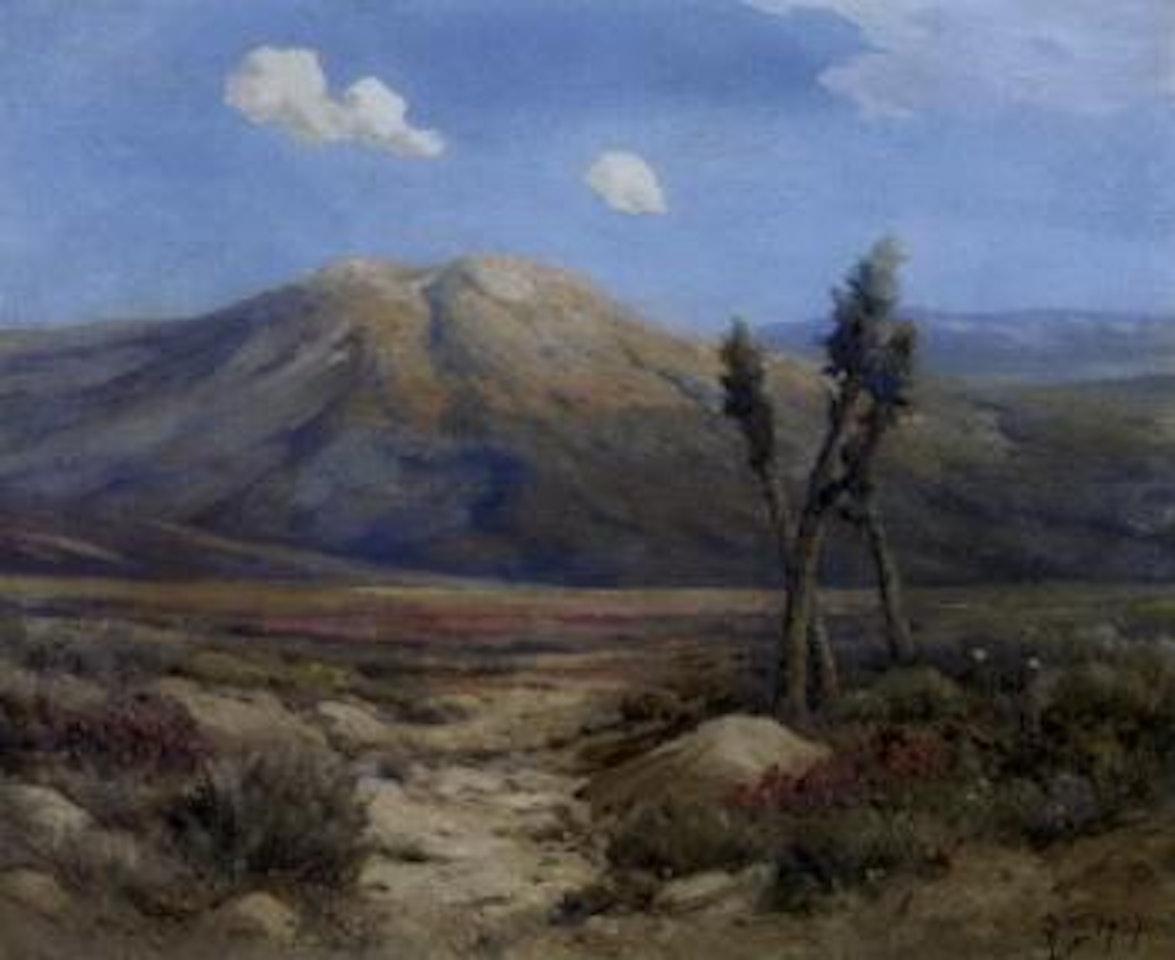 California desert by Angel Espoy