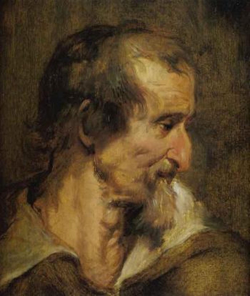 Head of man by Anthony van Dyck