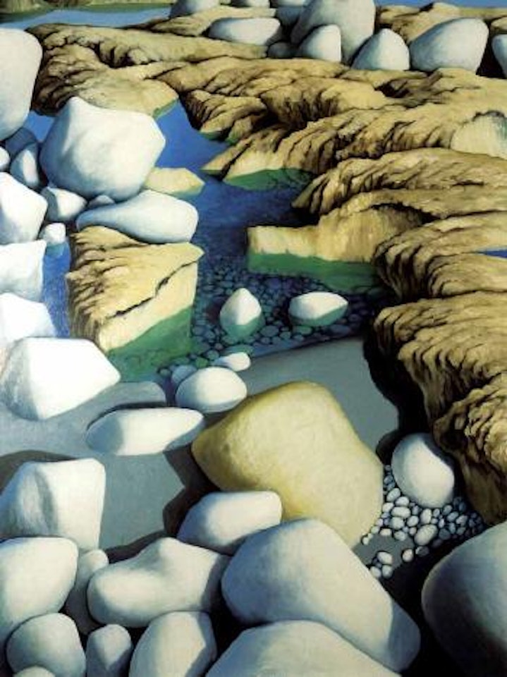 Rock pools by Michael Smither