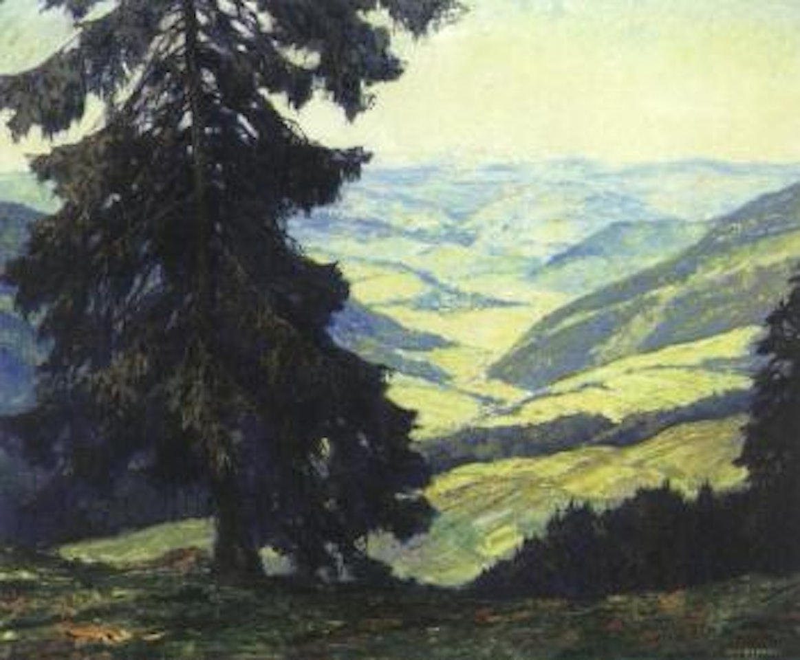 Schwartzwaldtannem, Das Muntertahl by Otto Pippel