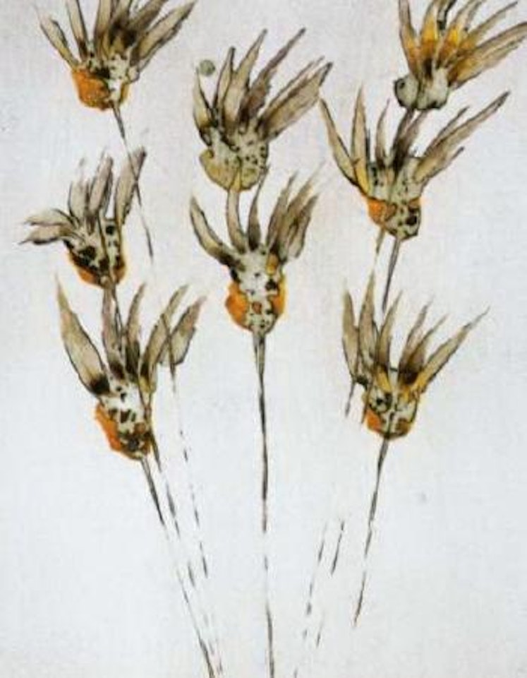 Wild flowers by Sidney Nolan