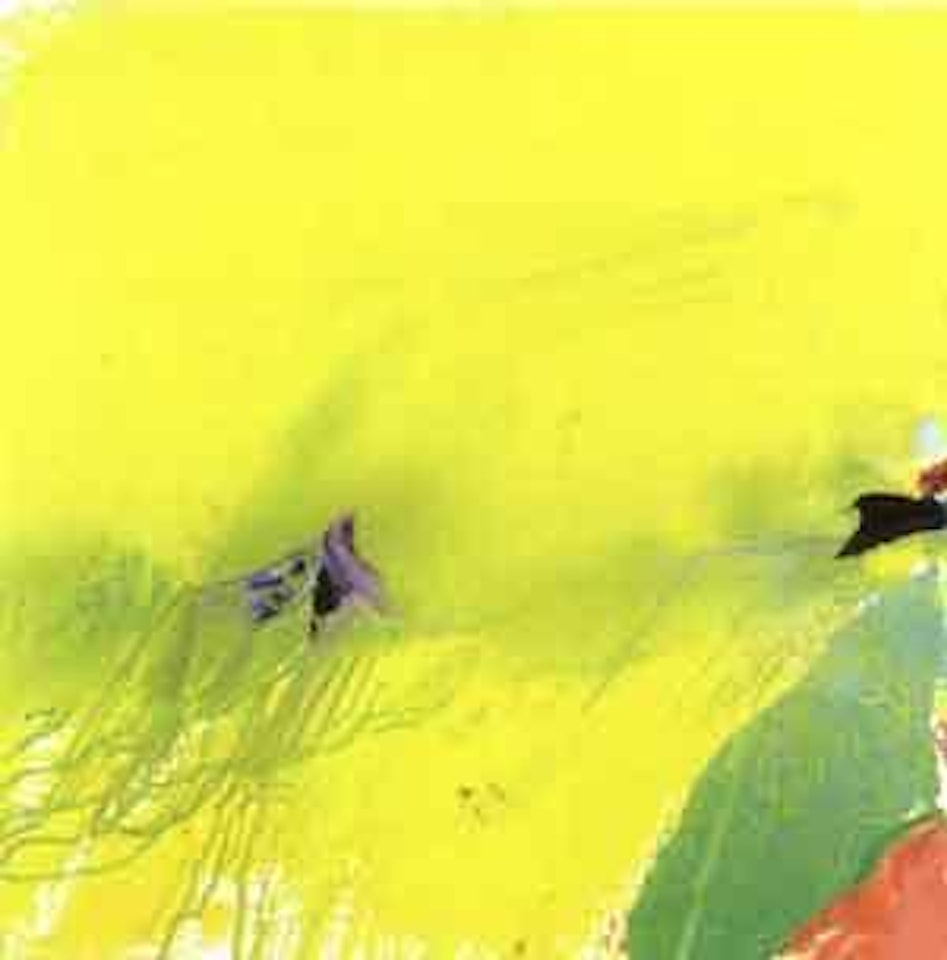 Vent jaune tache vert et rouge by Olivier Debre