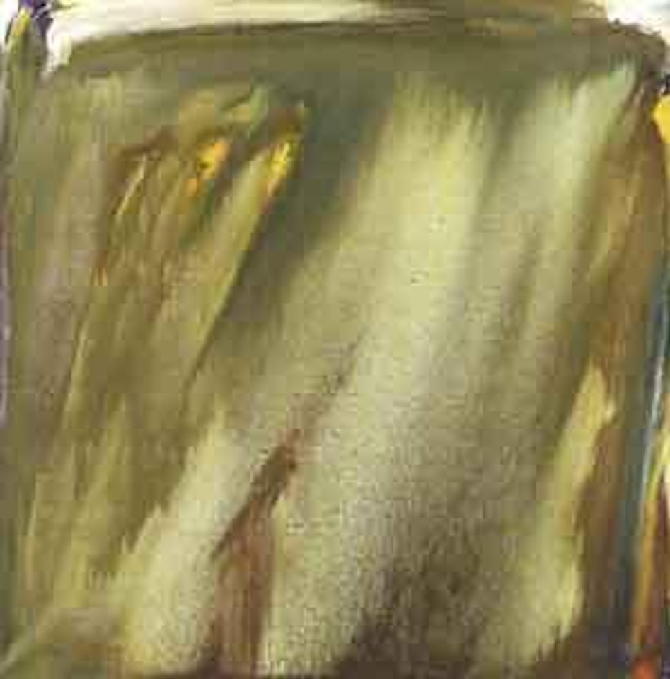 Norvege brune by Olivier Debre
