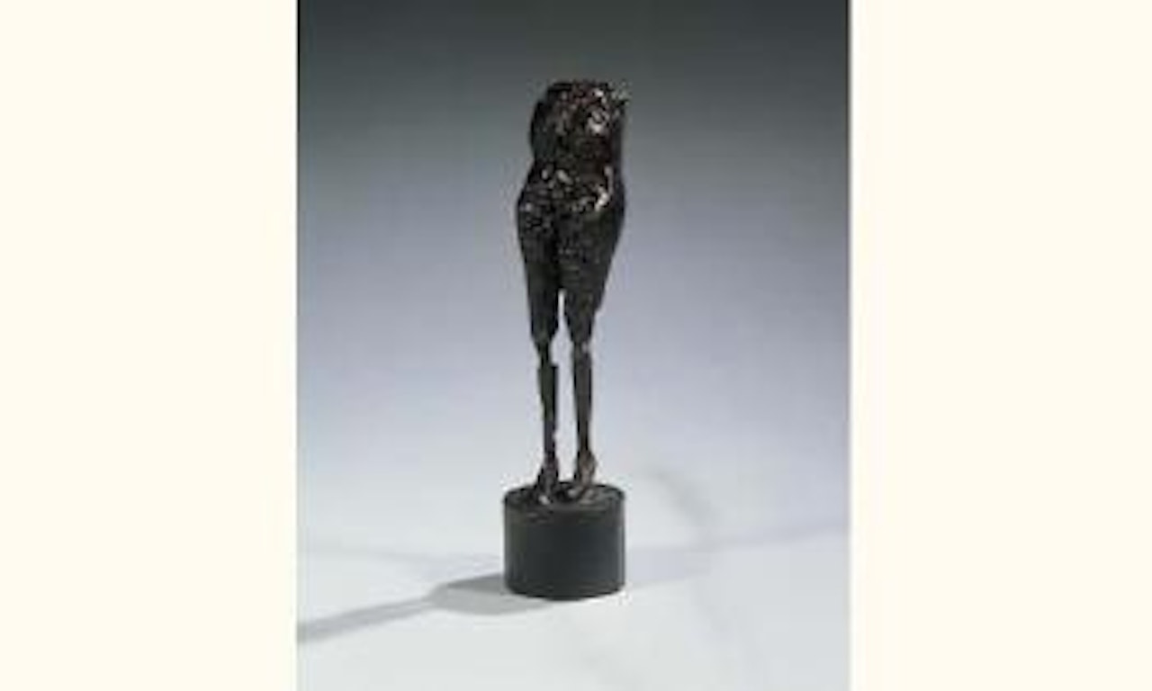 Petit torse by César