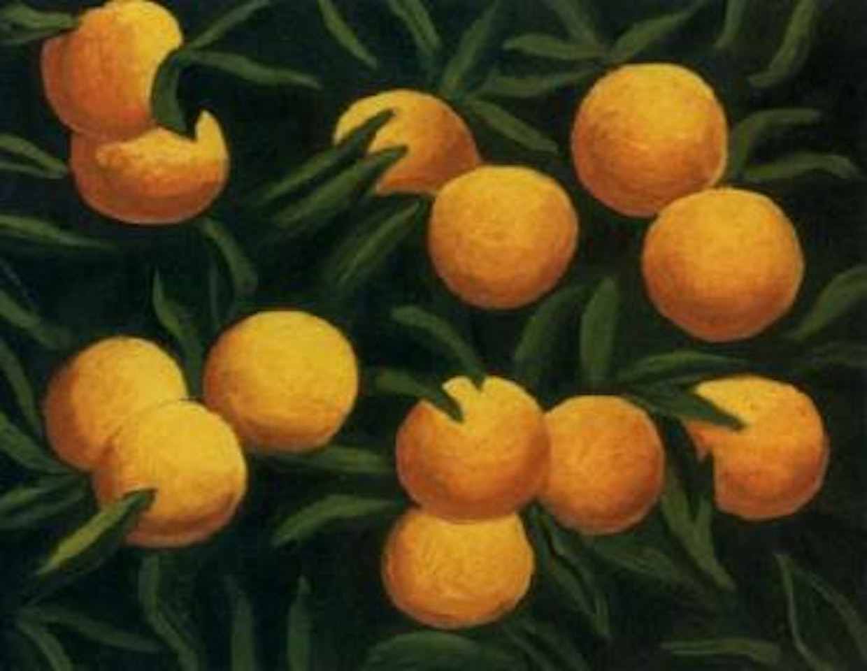Thirteen oranges by Salvo