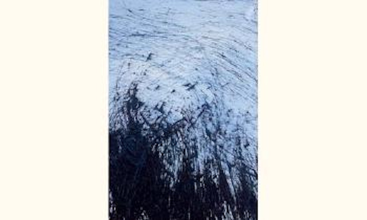 T 1980-E 48 by Hans Hartung