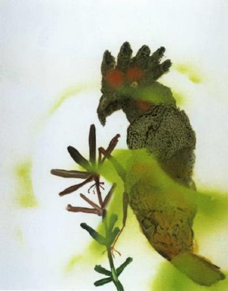 Plumed Parrot by Sidney Nolan