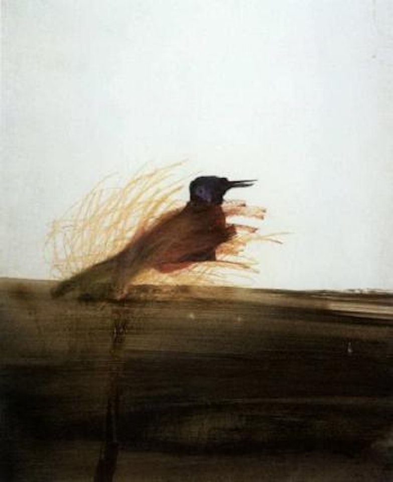 Bird over a desert landscape by Sidney Nolan