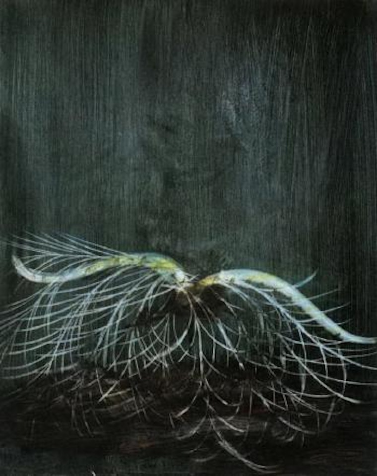 Display by Sidney Nolan