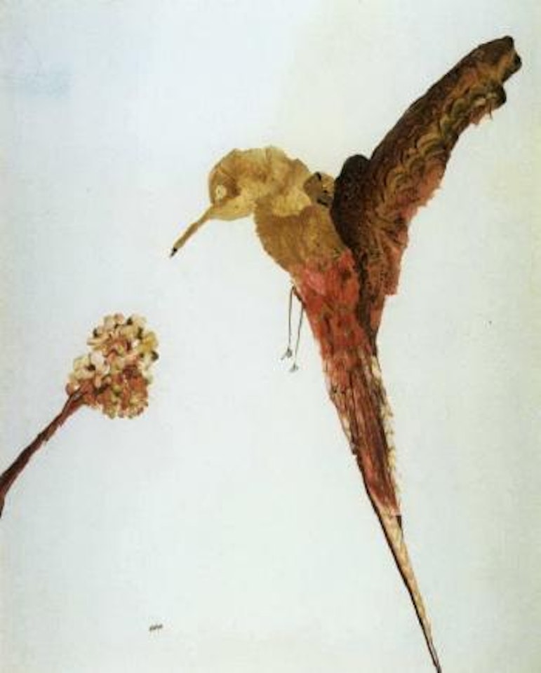 Humming bird with flower by Sidney Nolan