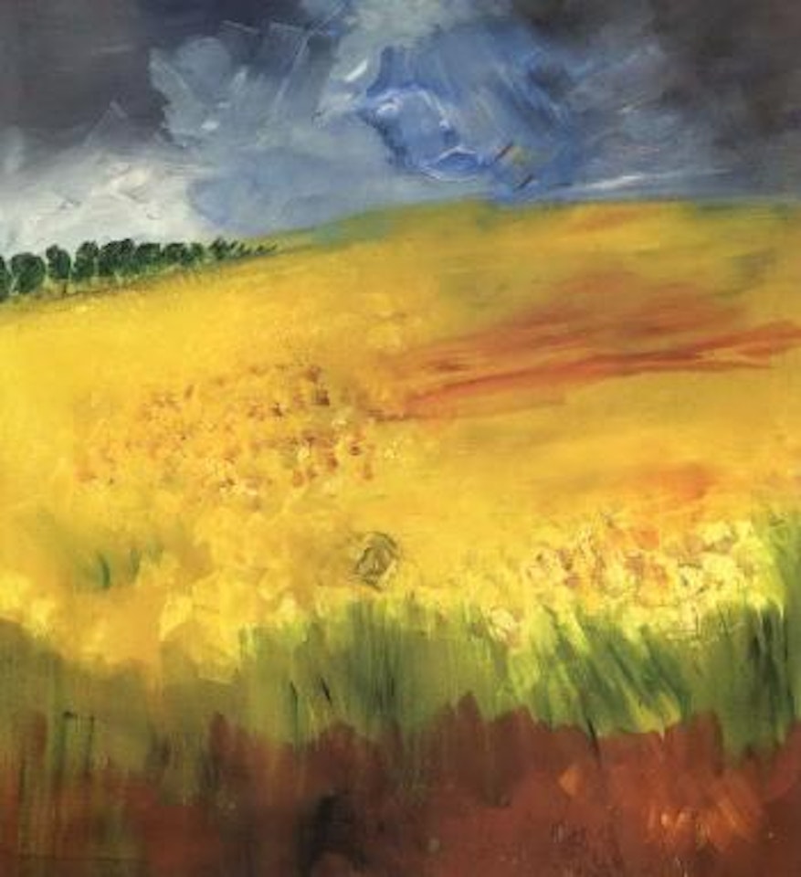 Field of rapeseed by Rainer Fetting