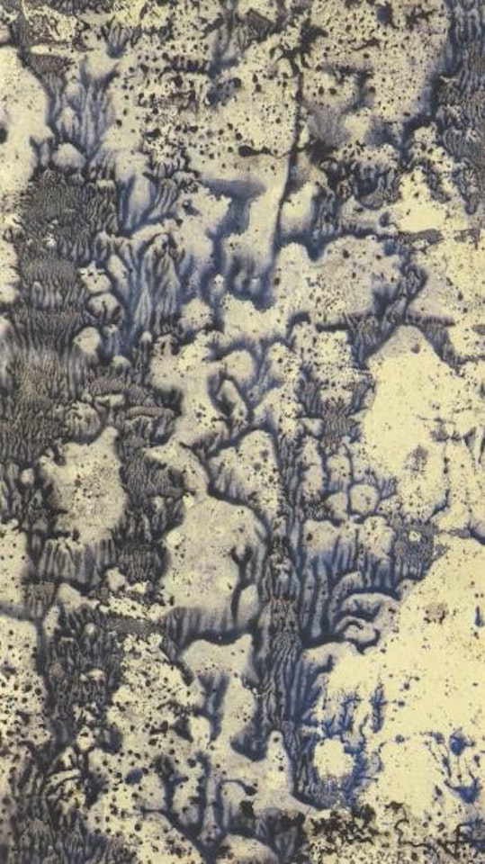 Microbe by Max Ernst
