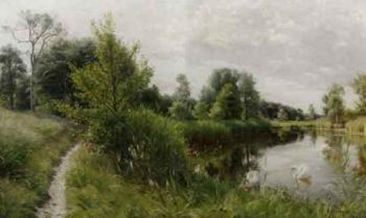 Swans in the reeds by Peder Mork Monsted