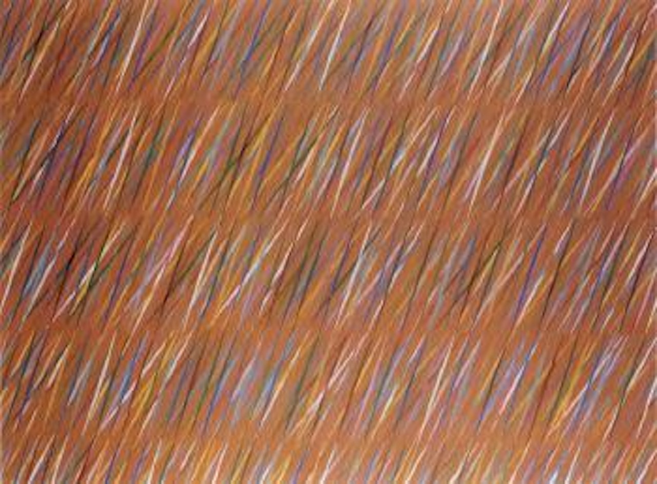 Four or five times by Piero Dorazio