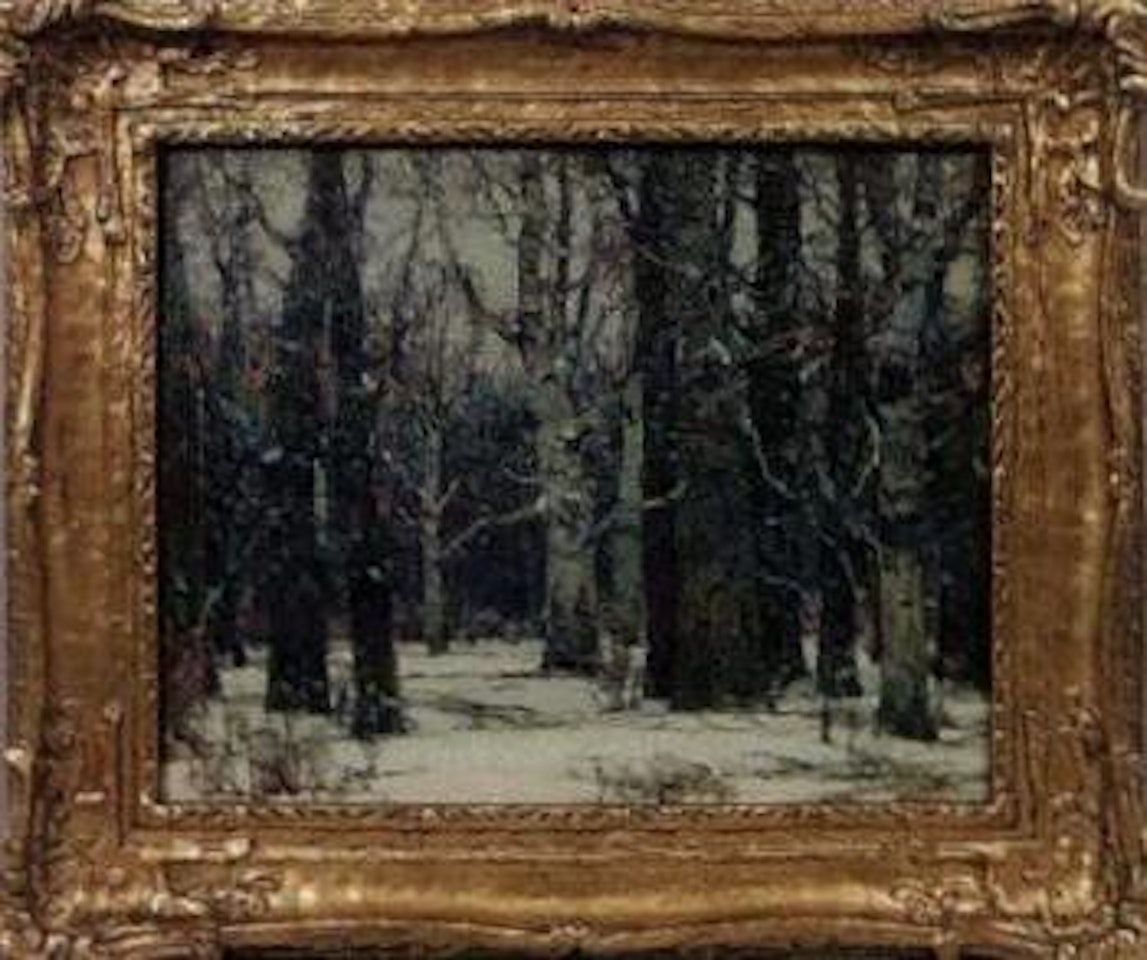 In snowy silence by John Fabian Carlson