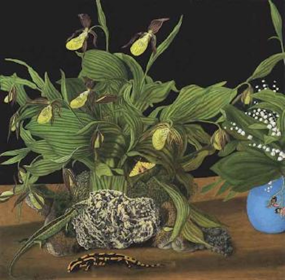 Still life with lady's slipper and salamander by Adolf Dietrich