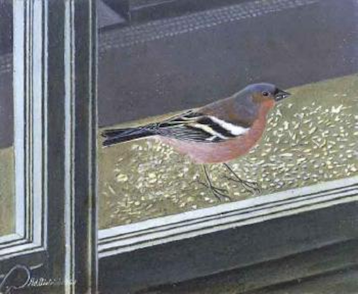 Bullfinch on window sill by Adolf Dietrich